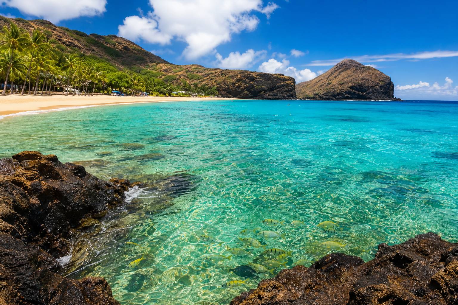 Baie de Hanauma à Oahu avec eau turquoise cristalline et plage de sable paradisiaque