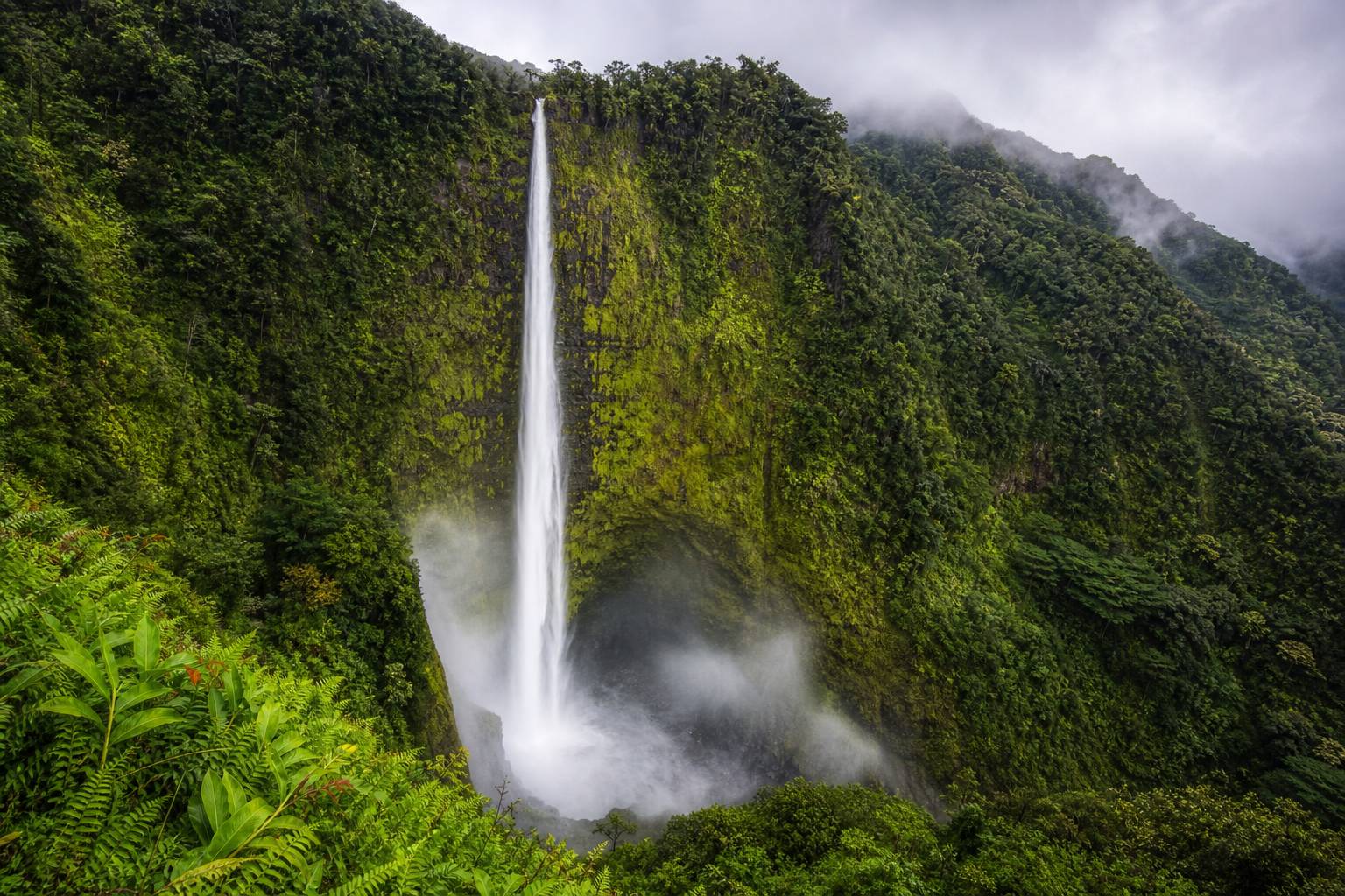 Cascade Manawaiopuna Jurassic Falls entourée de forêt tropicale luxuriante à Kauai