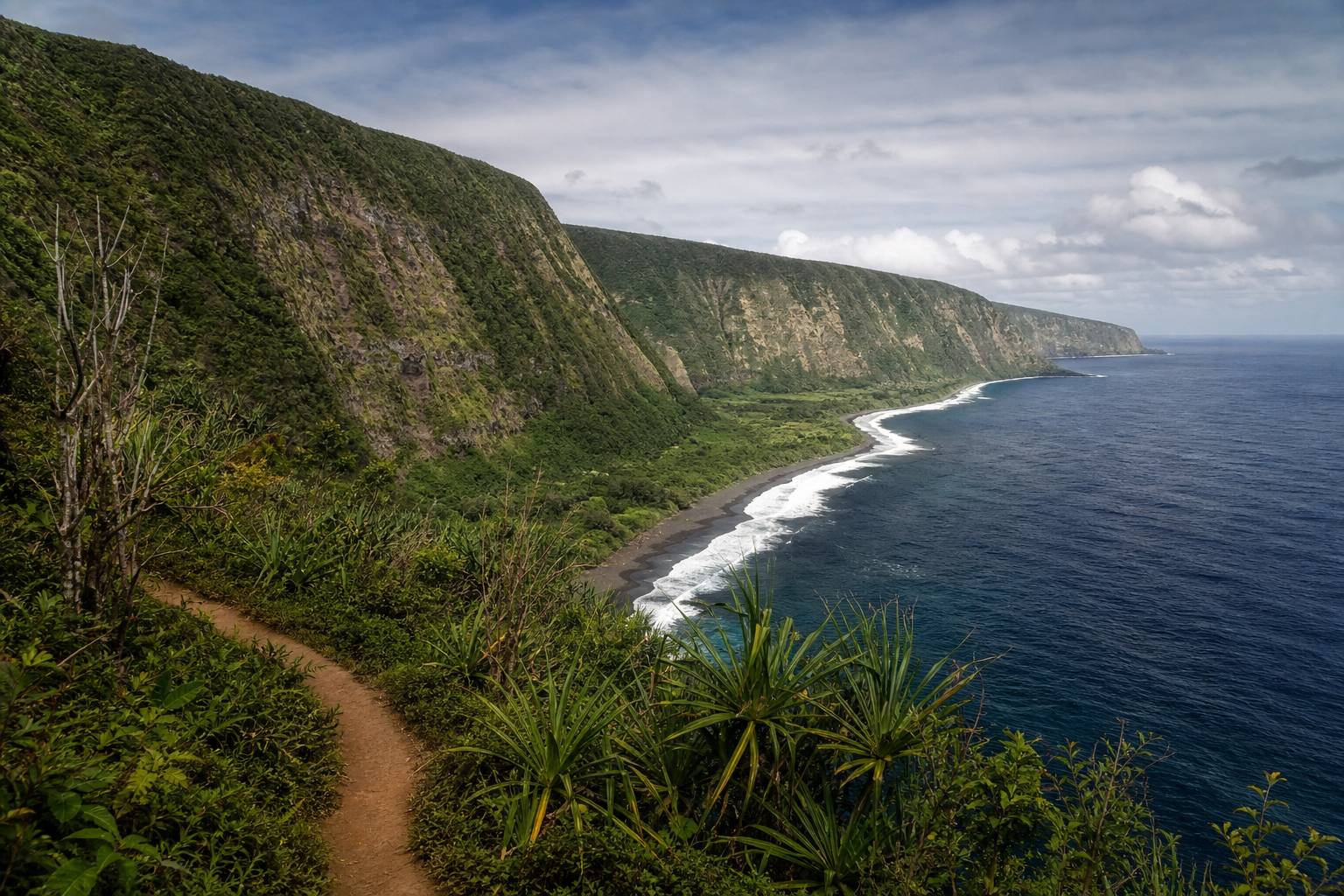 Illustration: Pololu Valley : la randonnée incontournable de Big Island