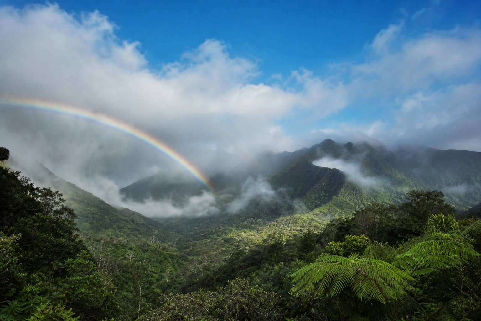 Saison des pluies à Hawaï : quand l&rsquo;éviter