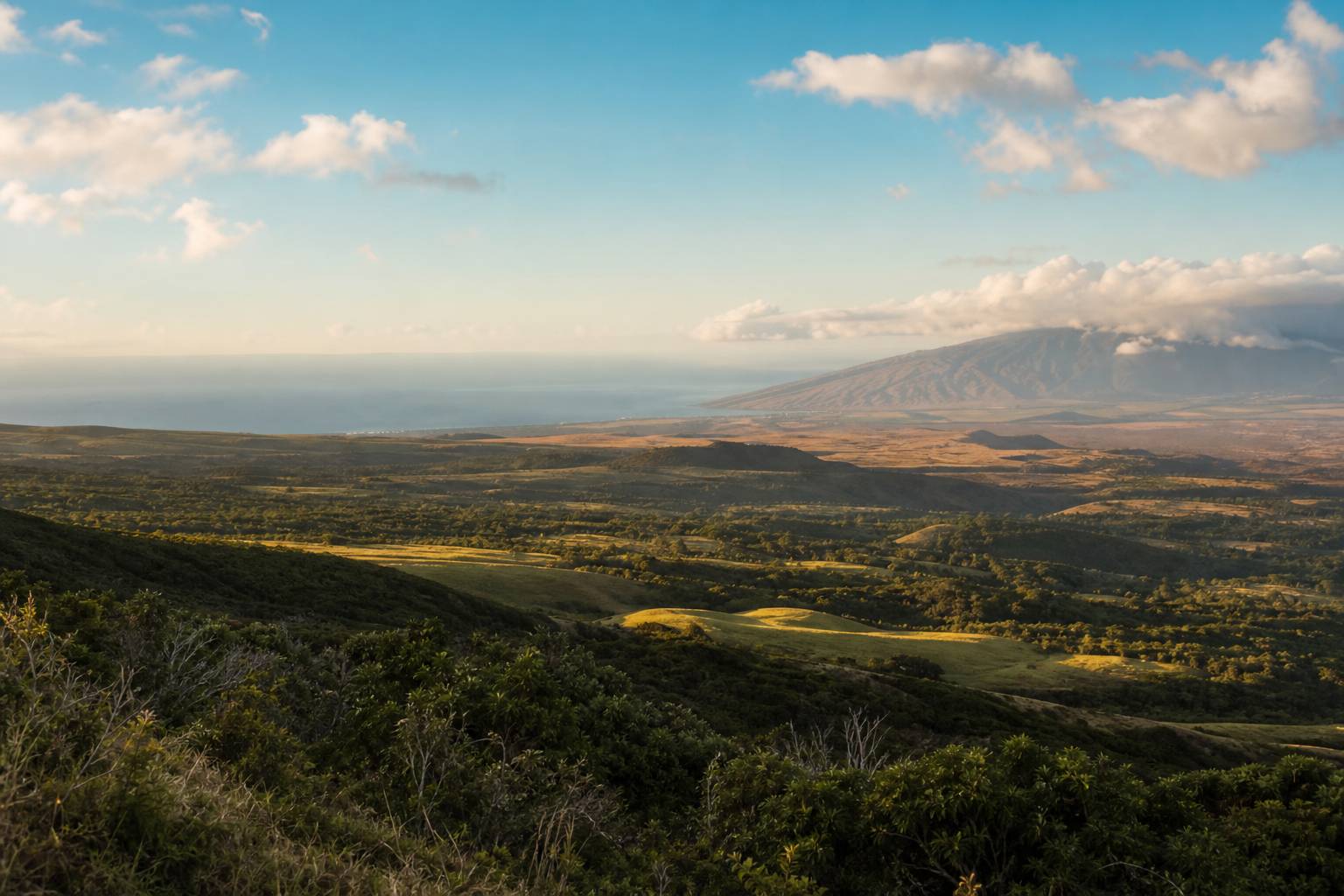 Upcountry Maui : guide de la région des hauteurs